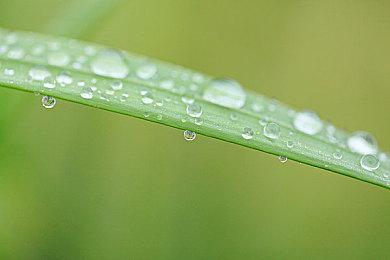 《生化危机4：重制版》PC版将被Steam平台独占